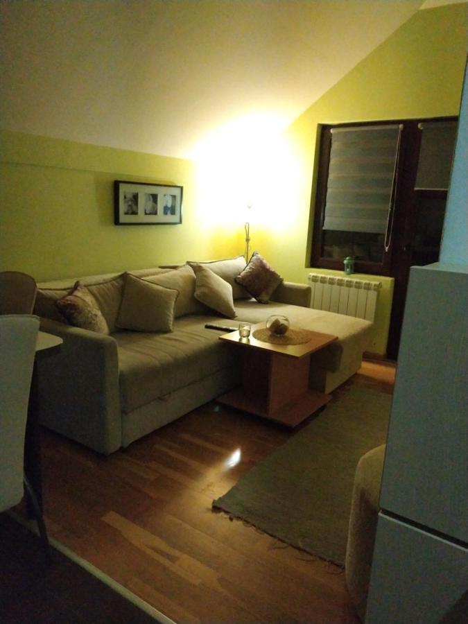Apartment Gledovic Ζλάτιμπορ Εξωτερικό φωτογραφία