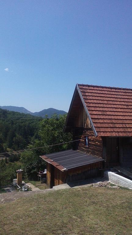 Apartment Gledovic Ζλάτιμπορ Εξωτερικό φωτογραφία